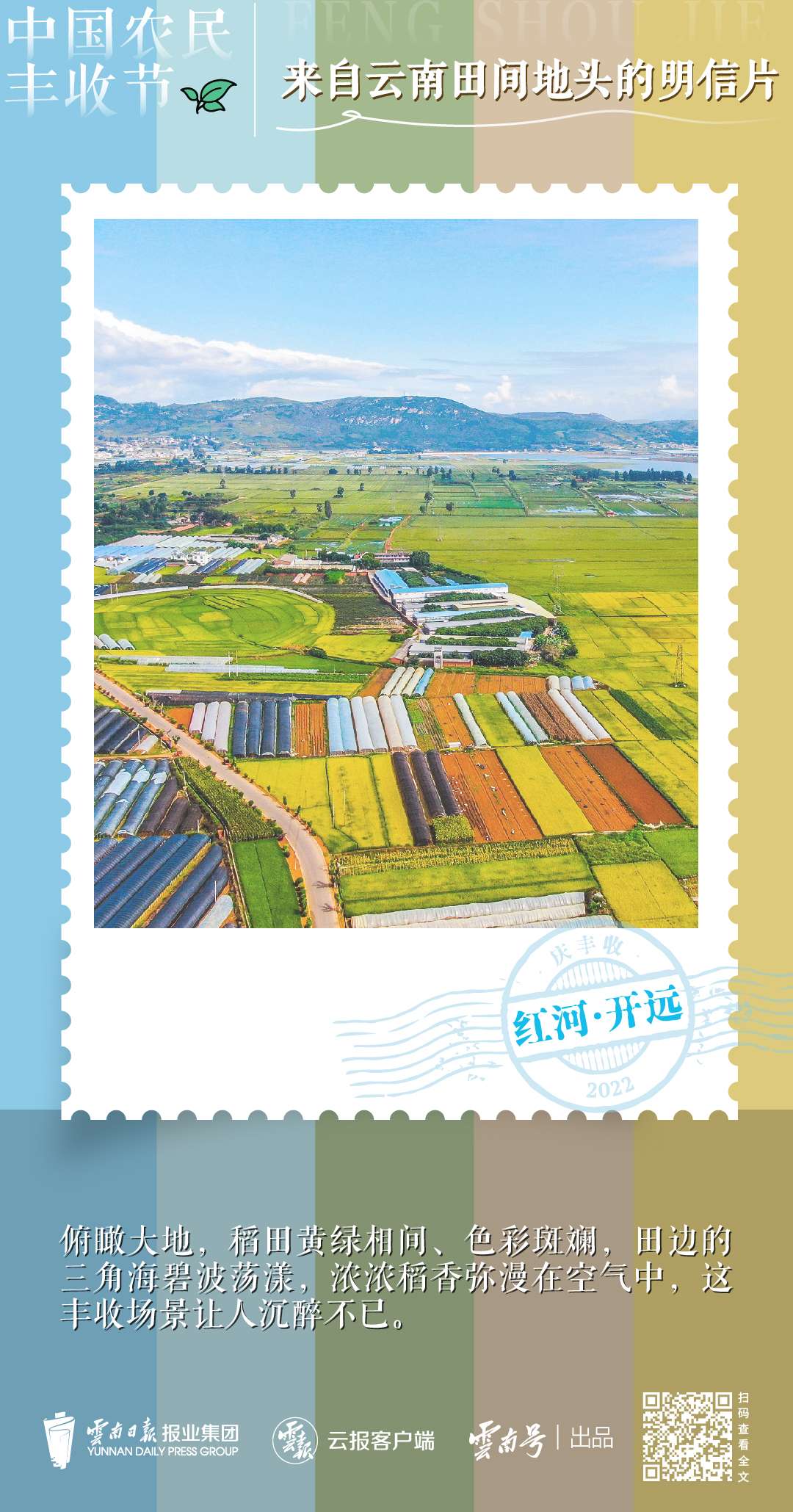 送你一组丰收明信片，作者是云南的他们→10.jpg