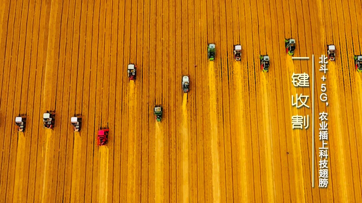 一镜到底看丰收9.jpg