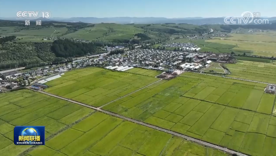 夯实大国粮仓根基 端牢中国人的饭碗2.png