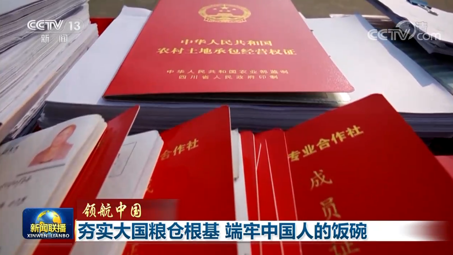 夯实大国粮仓根基 端牢中国人的饭碗3.png