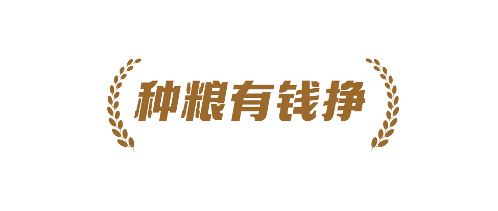 中国要富，农民必须富3.png