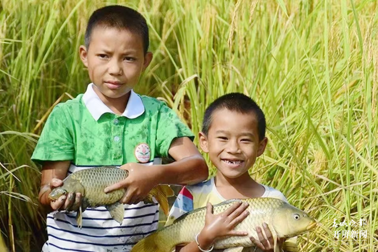 德宏民族团结月40年 | 稻田中的艺术学校开课啦