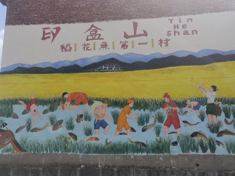 德宏民族团结月40年 | 稻田中的艺术学校开课啦