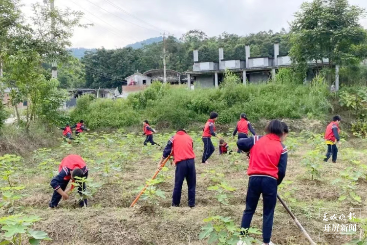 德宏民族团结月40年 | 稻田中的艺术学校开课啦