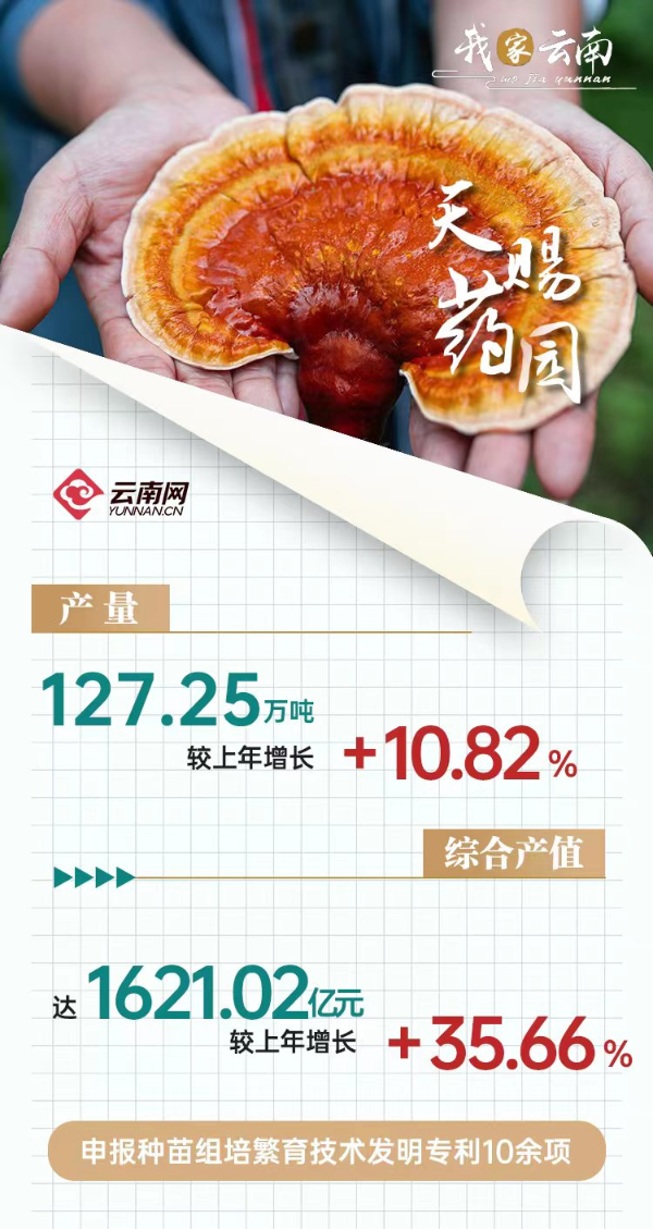 【我家云南】天赐药园 道地出奇珍