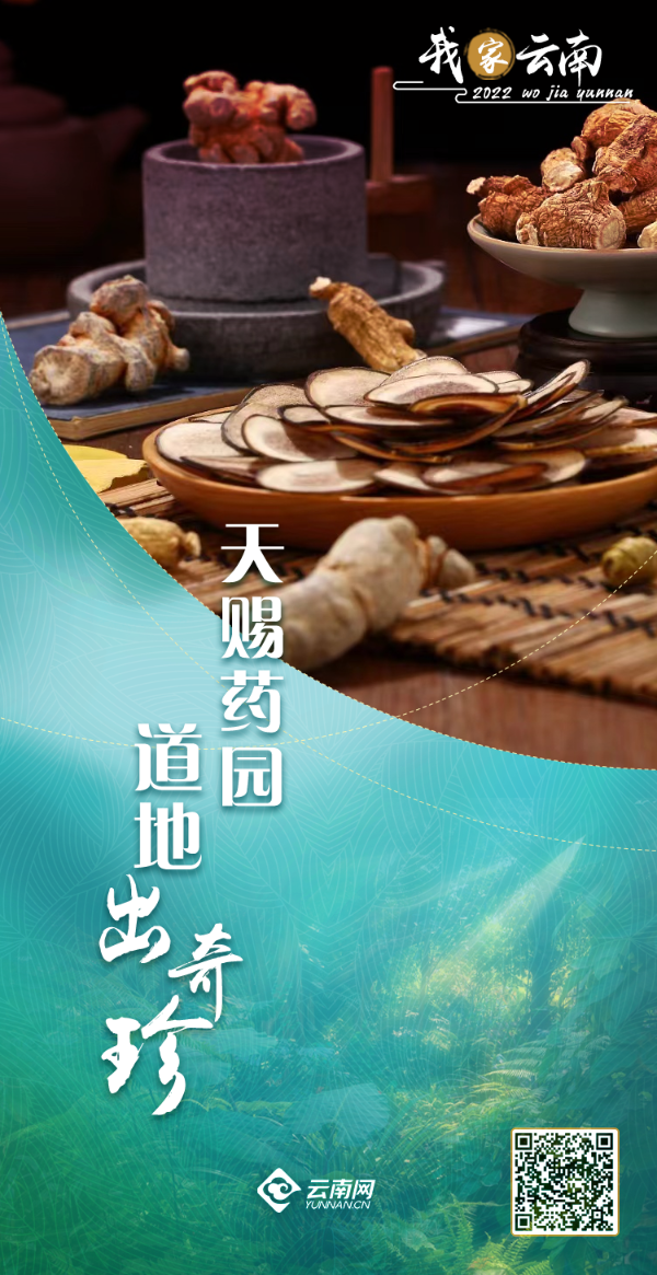 【我家云南】天赐药园 道地出奇珍