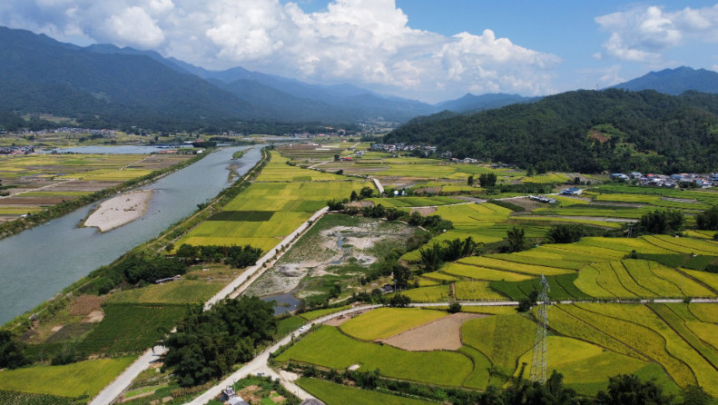 德宏民族团结月40年 | 勐养镇：以小切口促各民族大融合