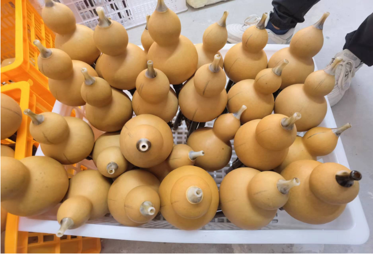 德宏民族团结月40年 | 平易村：葫芦丝传播民族声音 群众生活节节高