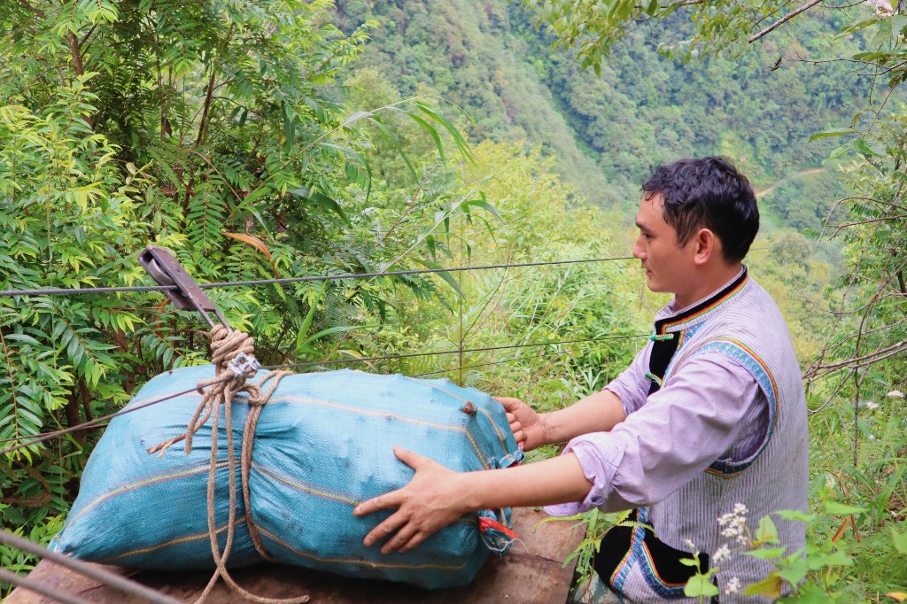 【怒江草果正红火】揭秘草果 | 马吉米:道路通畅 草果出山