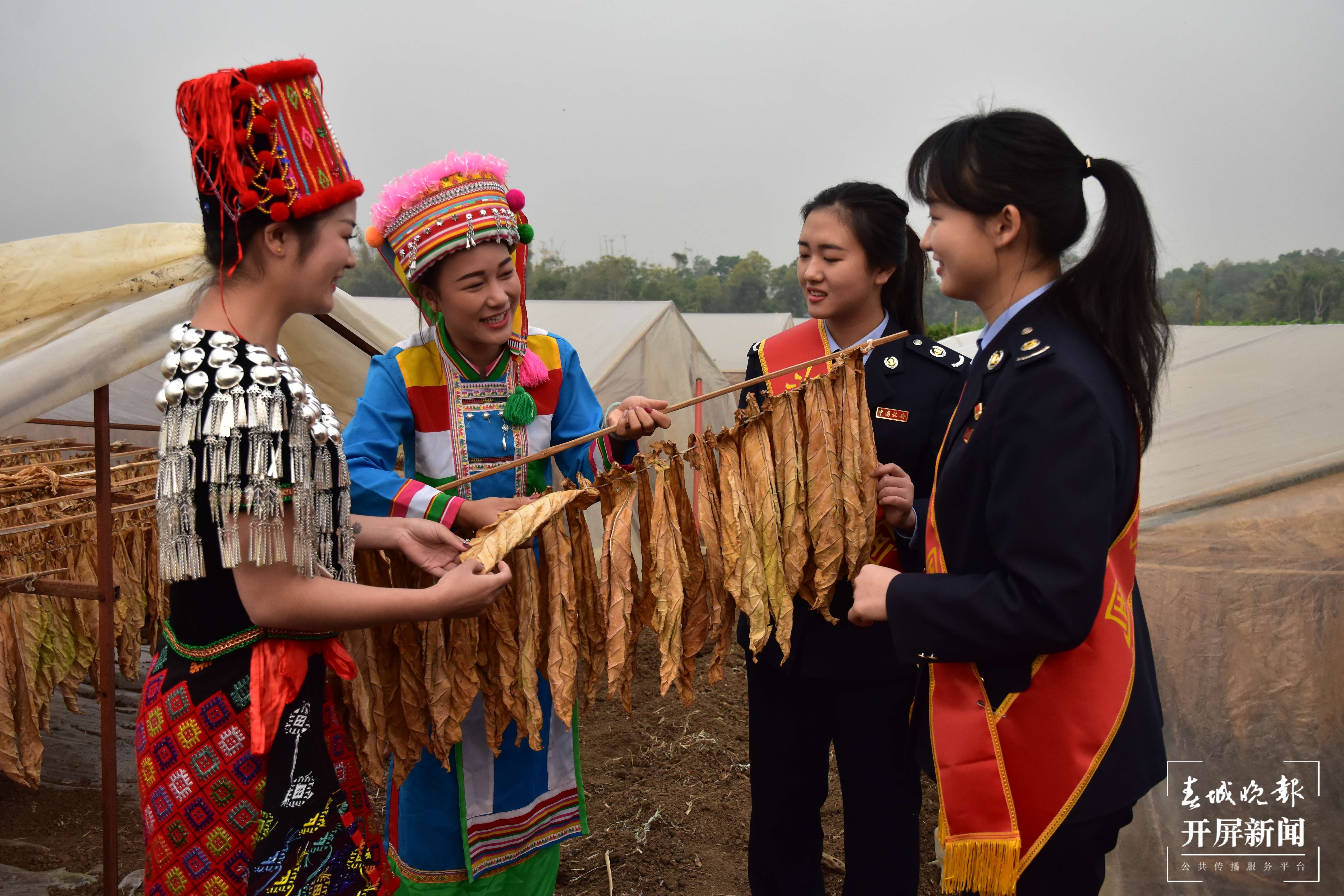 德宏民族团结月40年 | 盈江县税务局：兴税强边固发展 同频共振促团结
