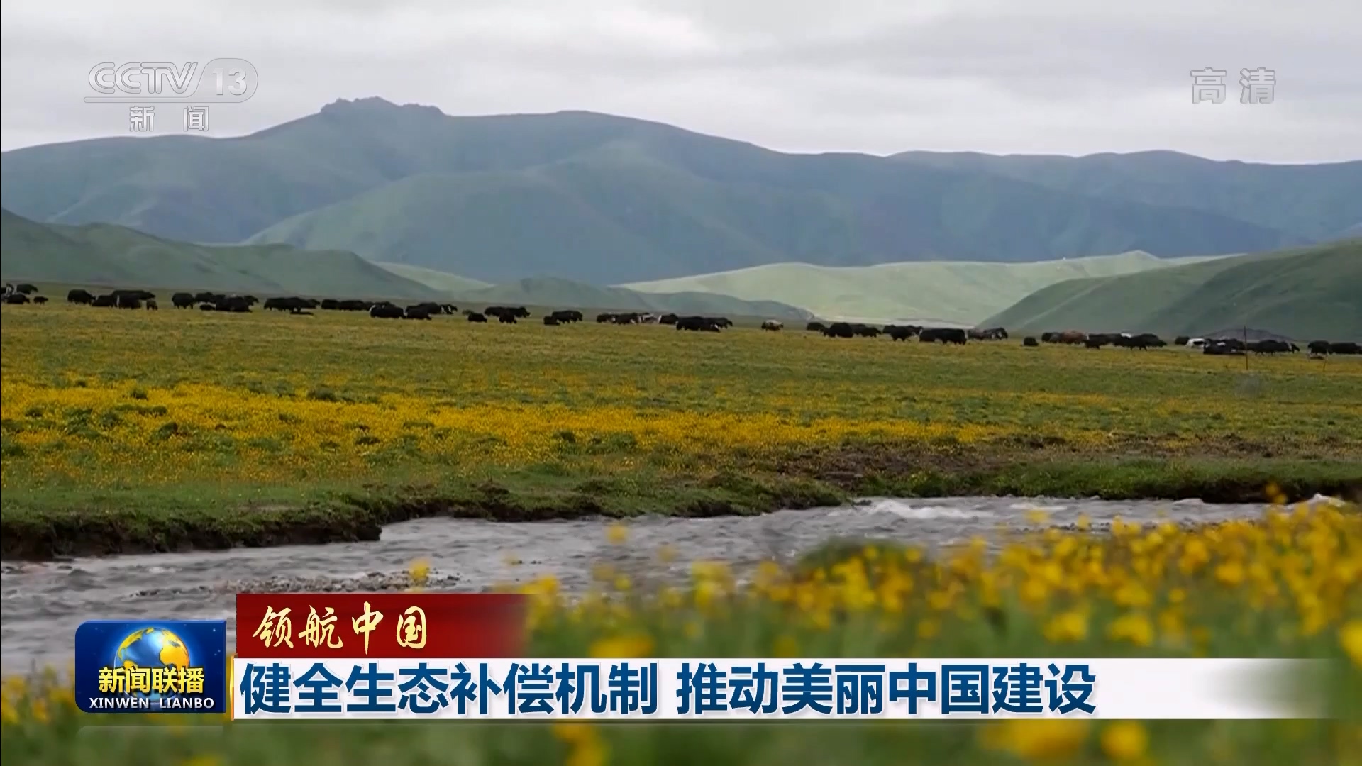 领航中国丨健全生态补偿机制 推动美丽中国建设