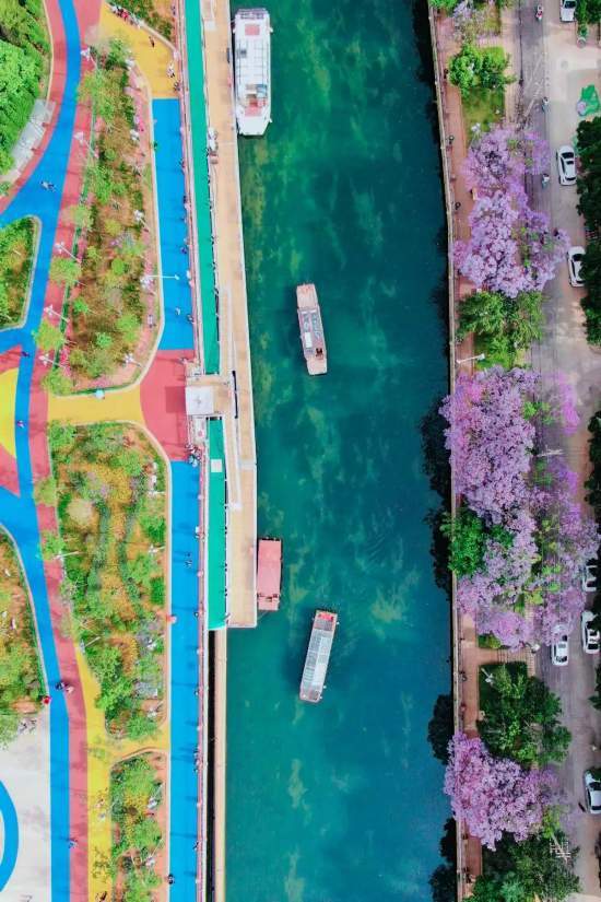 成就展·看云南⑧丨图片背后的故事：春城昆明的“花式浪漫”