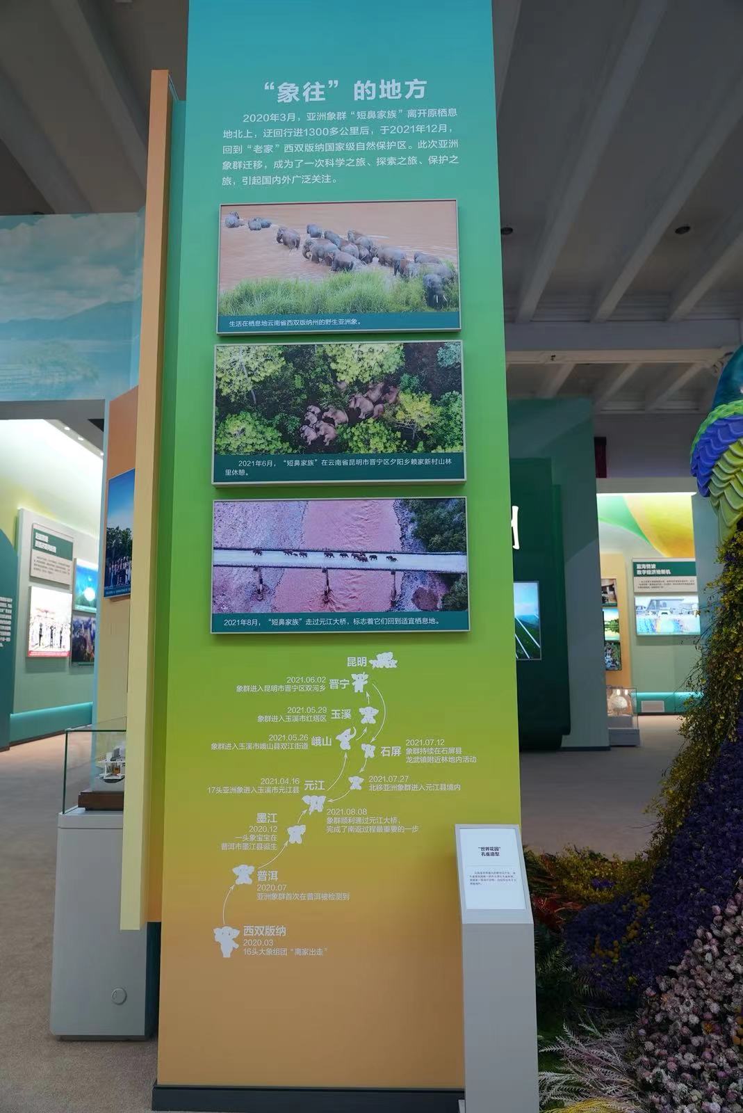 成就展·看云南⑨丨图片背后的故事：彩云之南——“象往”的地方