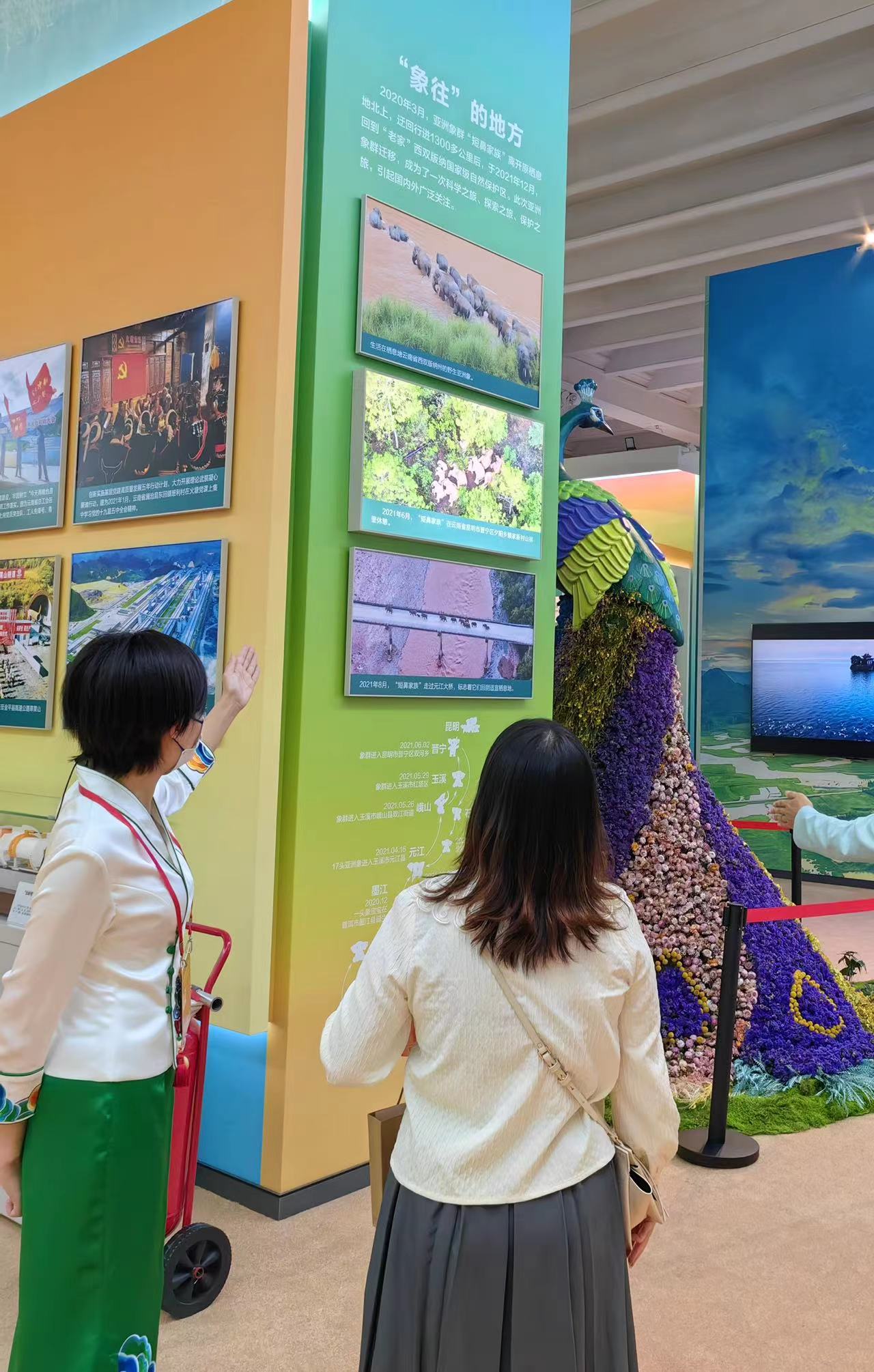 成就展·看云南⑨丨图片背后的故事：彩云之南——“象往”的地方