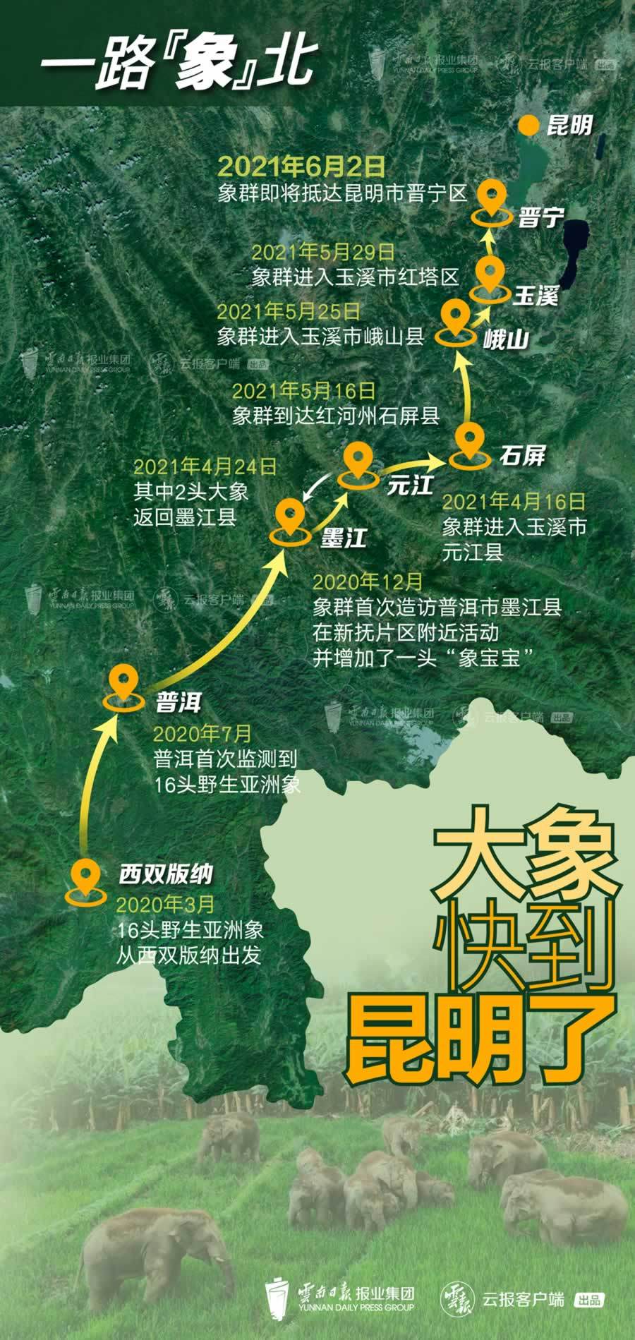 成就展·看云南⑨丨图片背后的故事：彩云之南——“象往”的地方