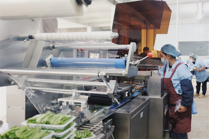 成就展·看云南⑩丨图片背后的故事：联结友谊的中老铁路