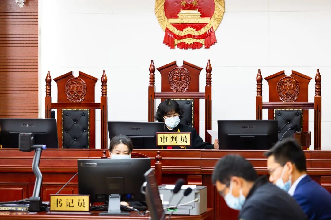 段莉萍：一手托着法律，一手托着正义