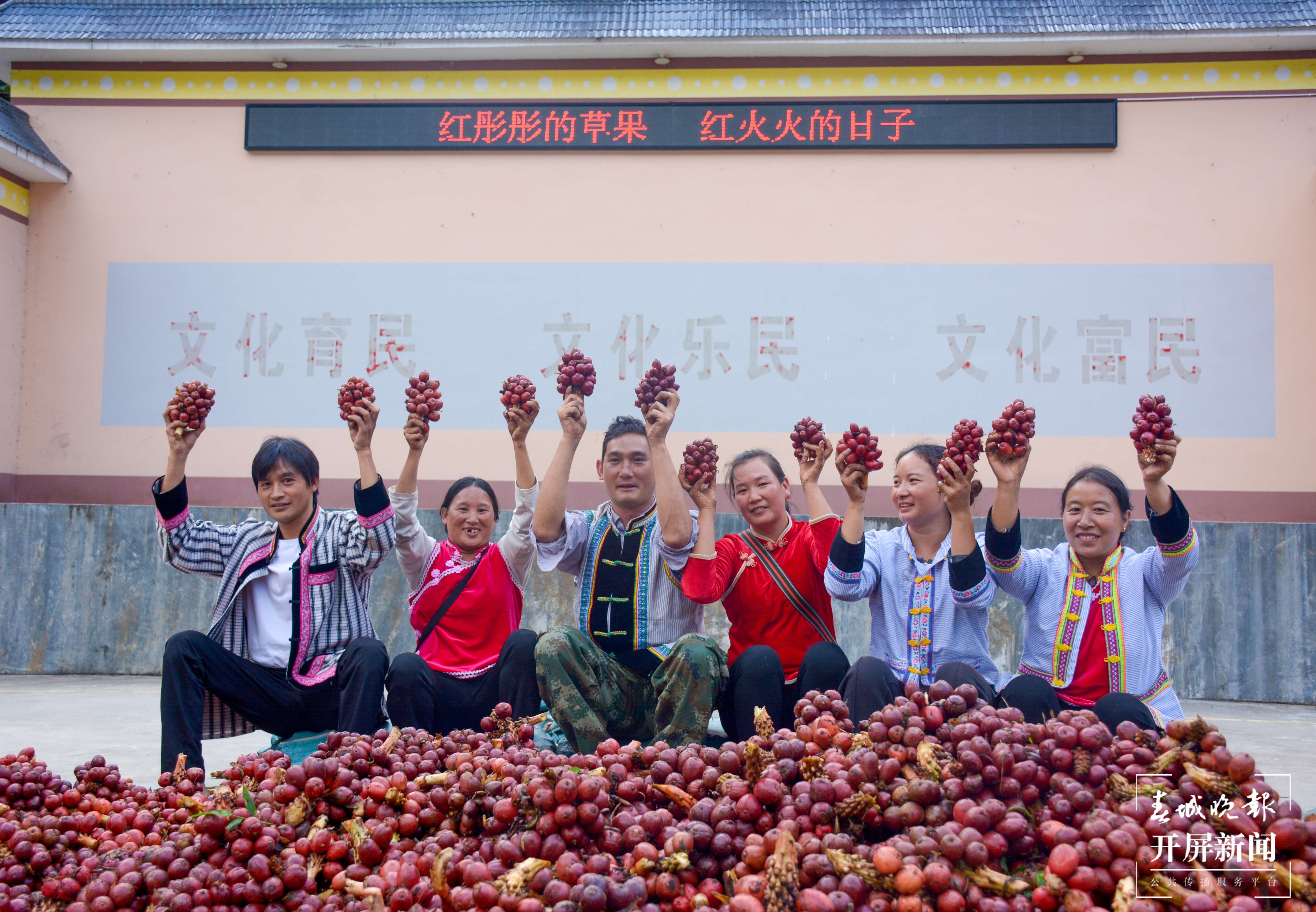 【怒江草果正红火】揭秘草果 | 怒江州大力推进草果产业提质增效势头正劲—— 将幸福生活“种”在高山密林间