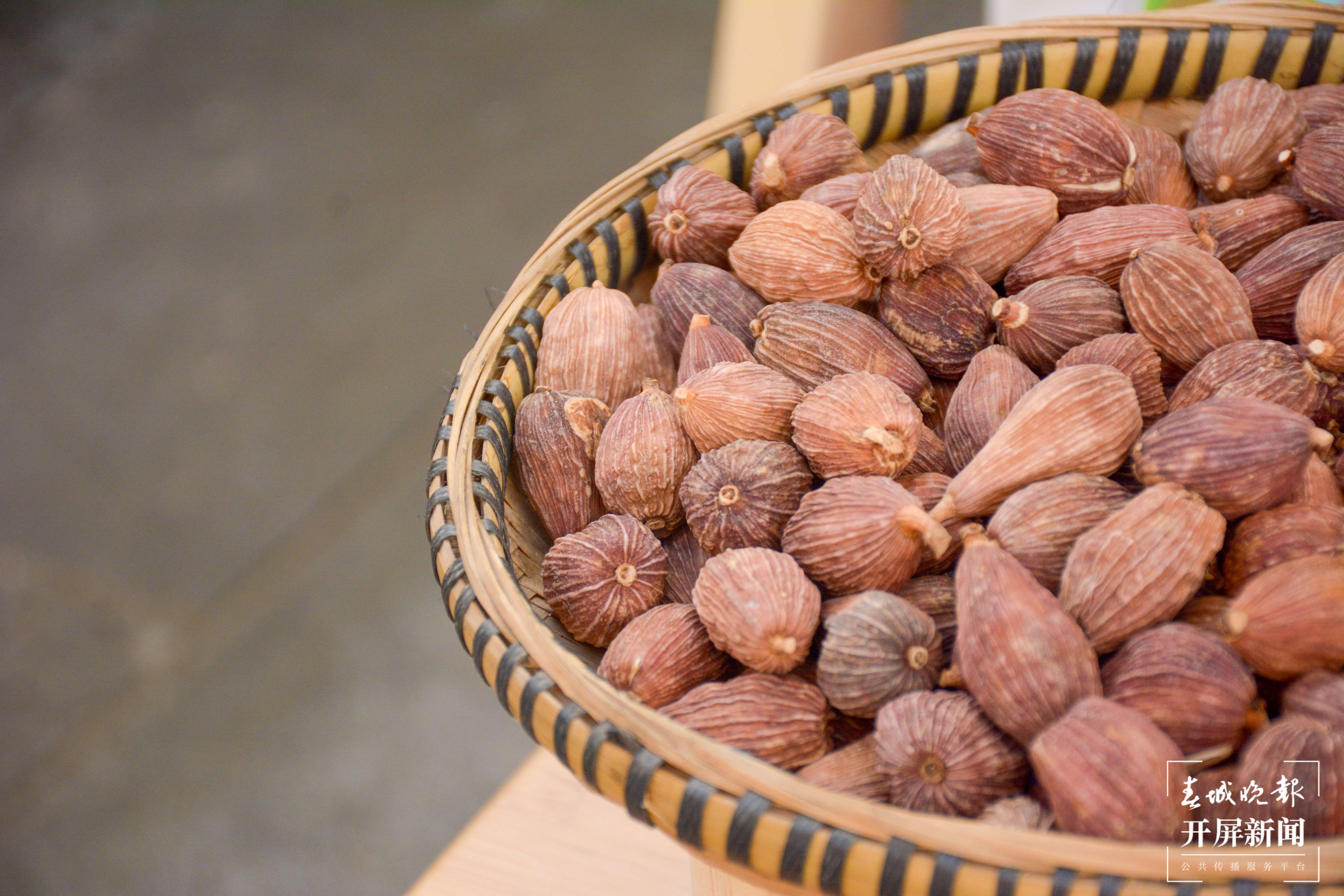 【怒江草果正红火】揭秘草果 | 怒江州大力推进草果产业提质增效势头正劲—— 将幸福生活“种”在高山密林间