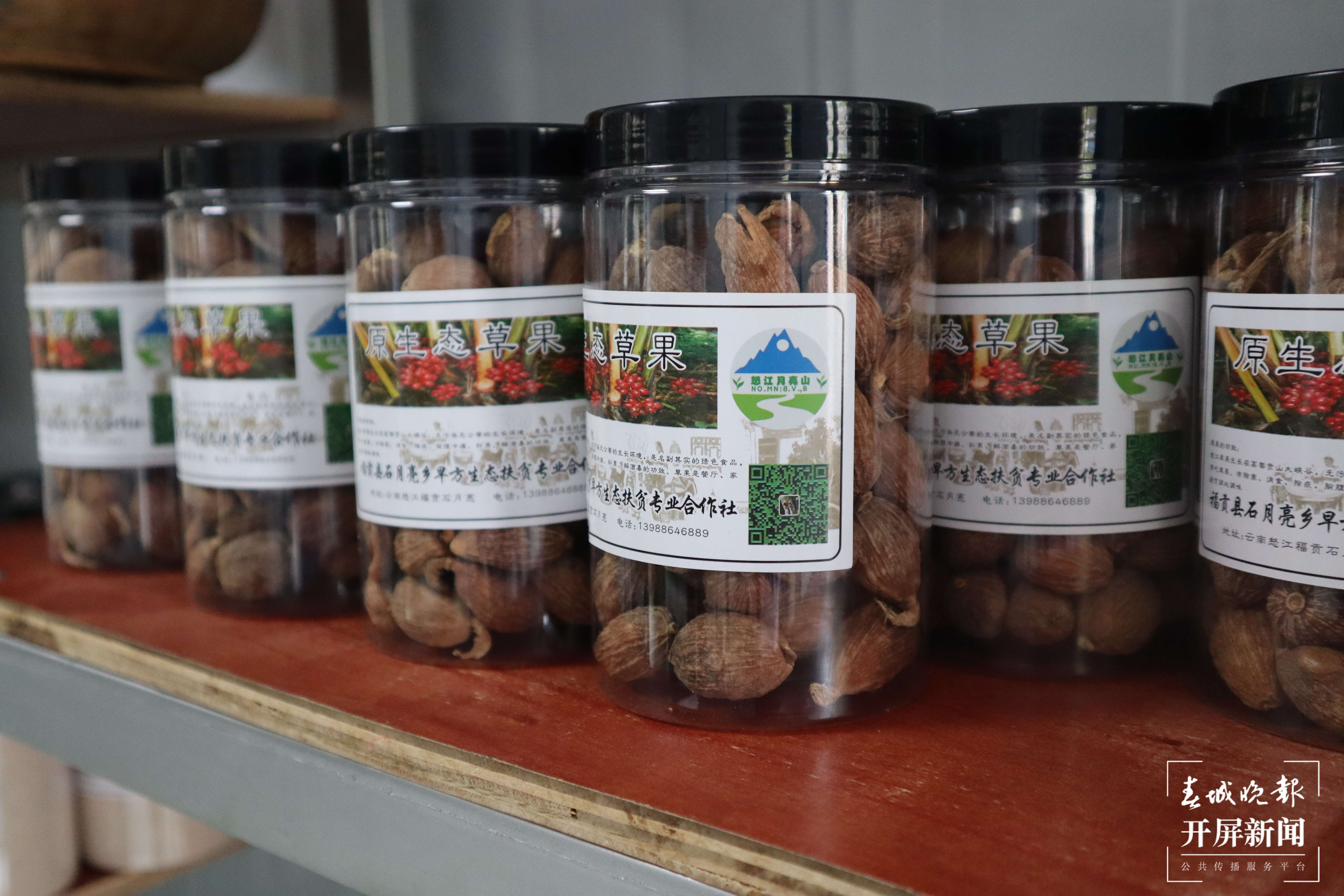 【怒江草果正红火】揭秘草果 | 怒江州大力推进草果产业提质增效势头正劲—— 将幸福生活“种”在高山密林间