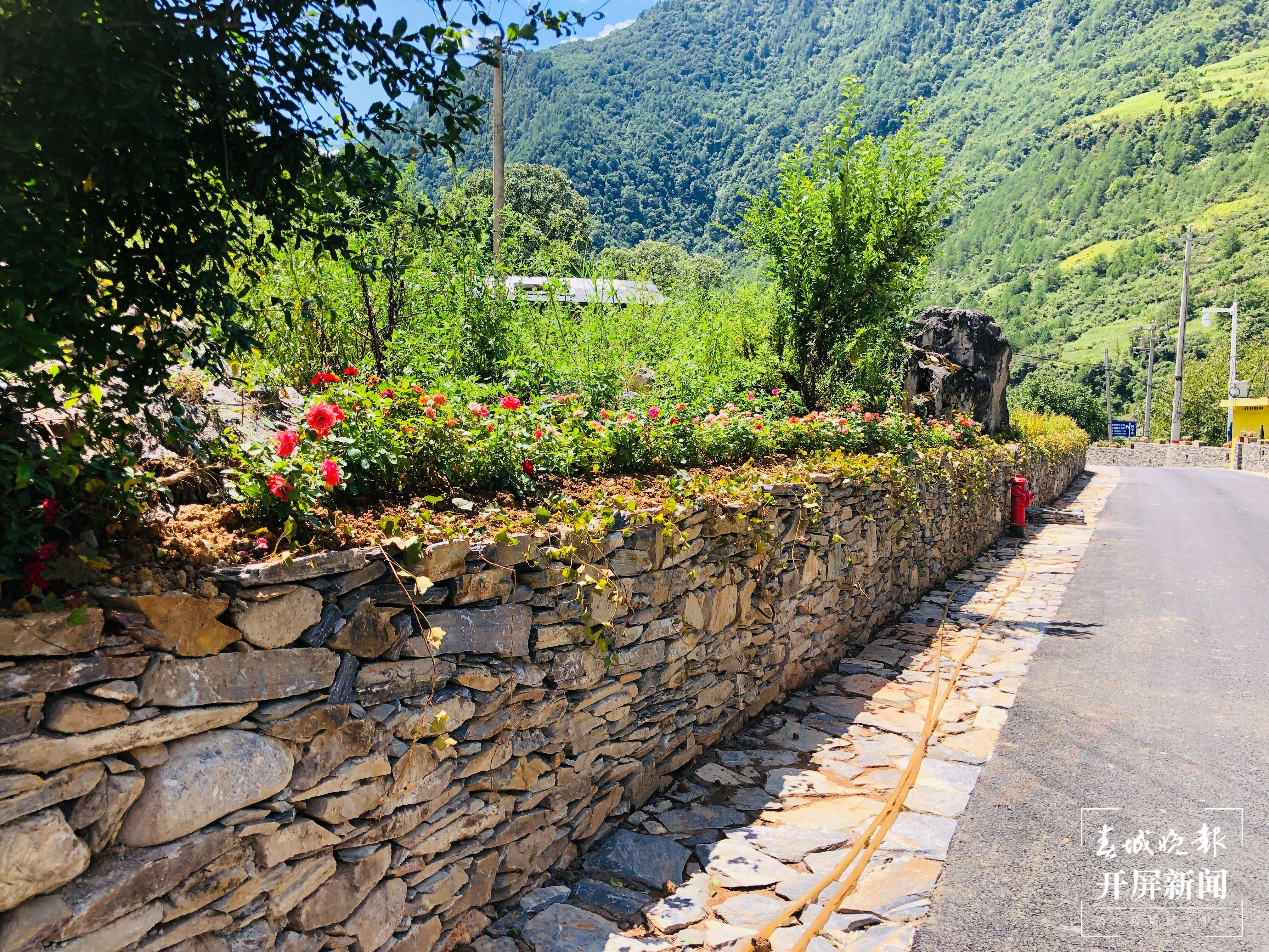 秋那桶：转型加速度 由“一”至“一主三辅”2.jpg