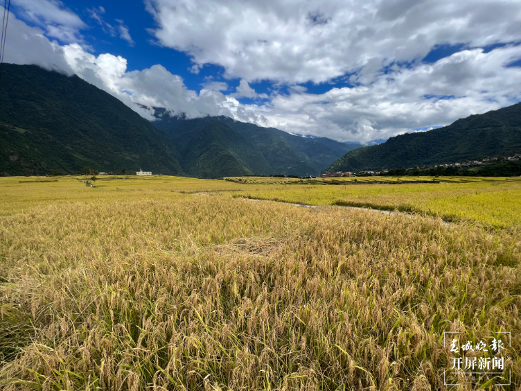 丙中洛：多种业态齐发力 打造文旅新品牌3.png
