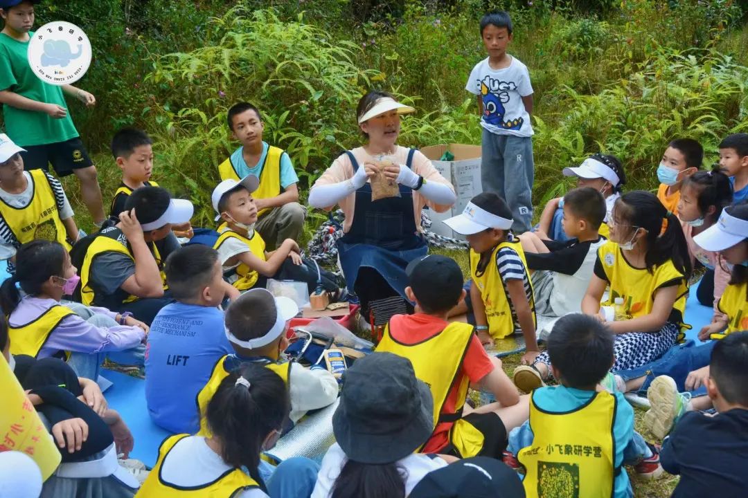 德宏民族团结月40年 | 德宏州各族青少年交流计划启动