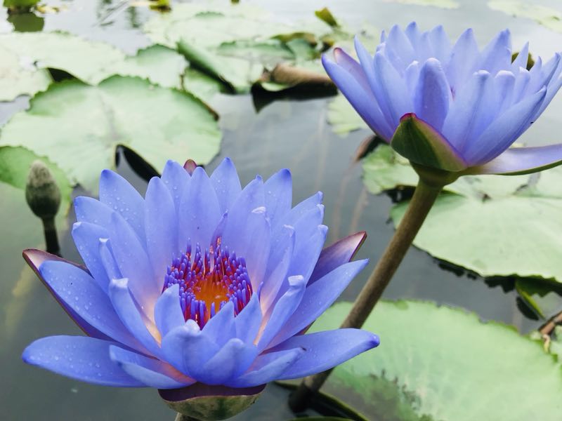 乡村旅游让村民鼓了“钱袋子” 2.jpg