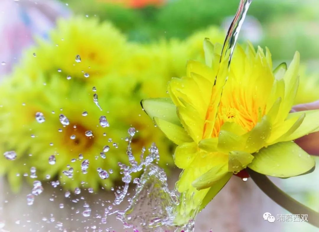 乡村旅游让村民鼓了“钱袋子” 4.jpg