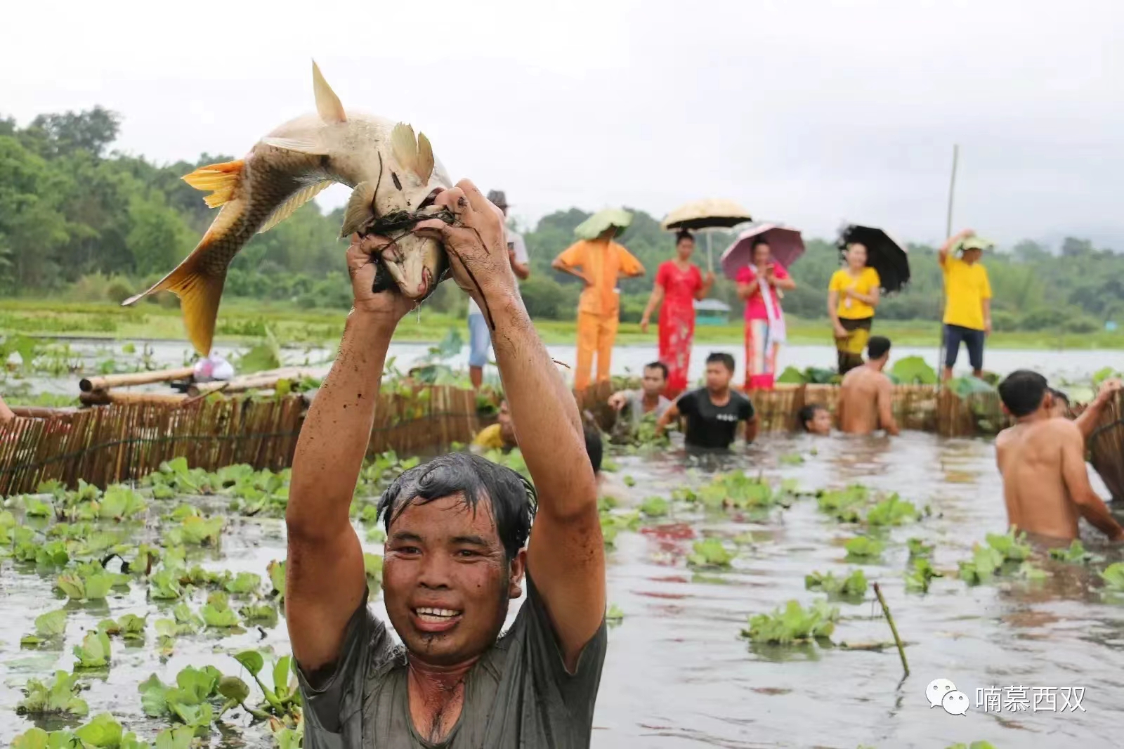 乡村旅游让村民鼓了“钱袋子” 5.jpg