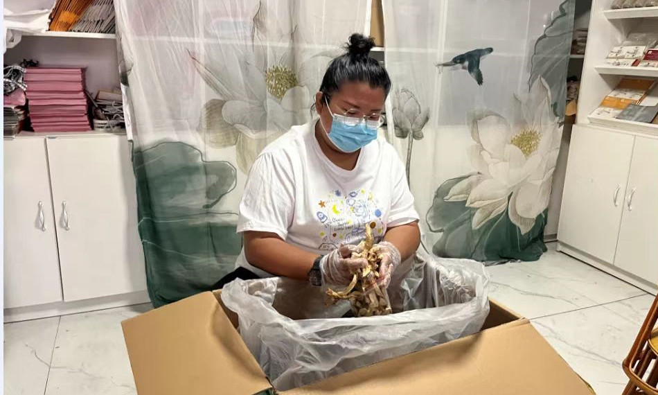 【怒江草果正红火】揭秘草果 | 苏艳霞：“线下+线上+快递”让怒江农产品便捷出山