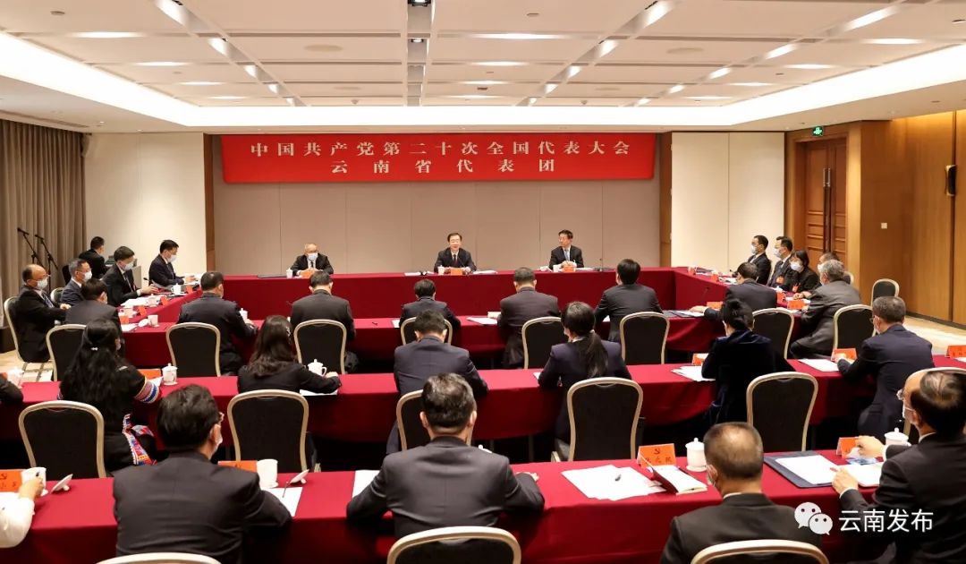 出席党的二十大云南省代表团举行全体会议.jpg