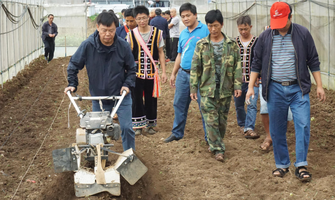 聚焦二十大|“土豆院士”朱有勇
