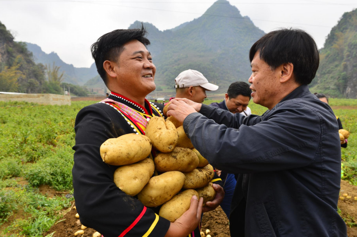 聚焦二十大|“土豆院士”朱有勇