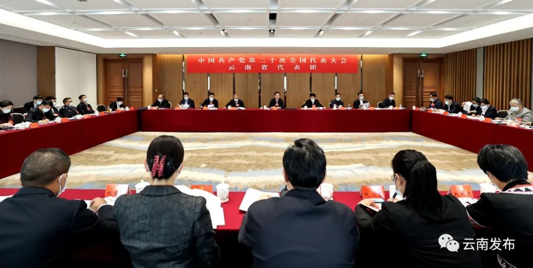 云南省代表团讨论十九届中央纪委工作报告和党章修正案1.jpg