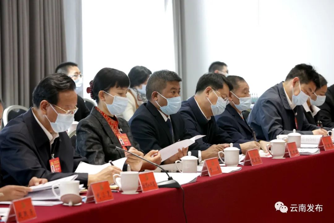 云南省代表团讨论十九届中央纪委工作报告和党章修正案2.jpg