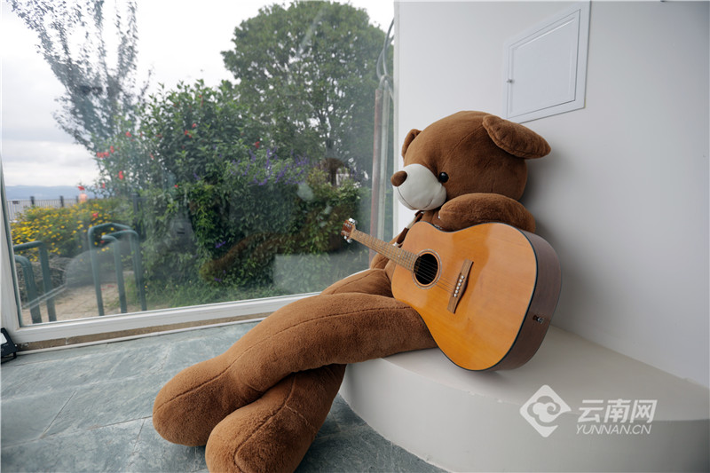 【有一种生活，叫大理】图片故事：在洱海生态廊道，你可以……