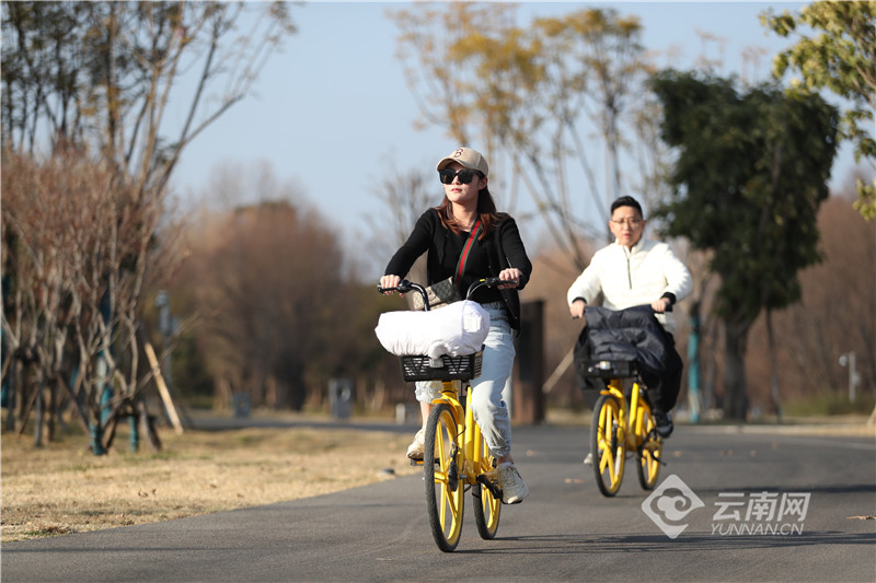 【有一种生活，叫大理】图片故事：在洱海生态廊道，你可以……