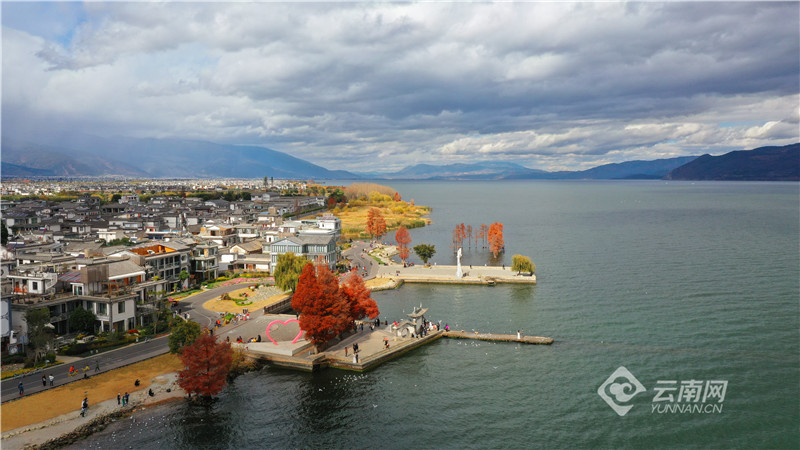 【有一种生活，叫大理】图片故事：在洱海生态廊道，你可以……
