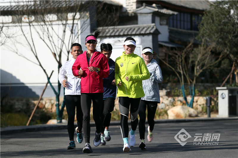 【有一种生活，叫大理】图片故事：在洱海生态廊道，你可以……