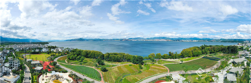 【有一种生活，叫大理】图片故事：在洱海生态廊道，你可以……