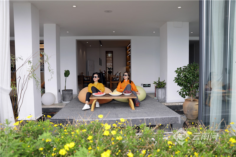 【有一种生活，叫大理】图片故事：在洱海生态廊道，你可以……