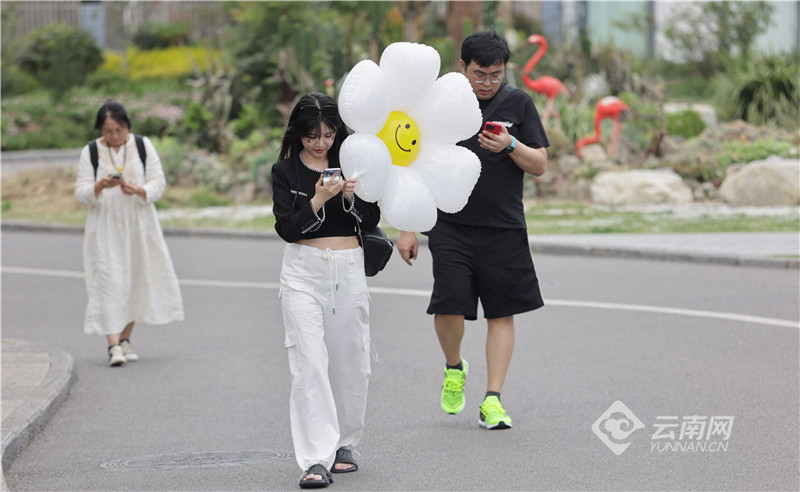 【有一种生活，叫大理】图片故事：在洱海生态廊道，你可以……