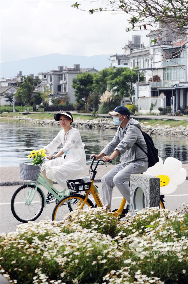 【有一种生活，叫大理】图片故事：在洱海生态廊道，你可以……