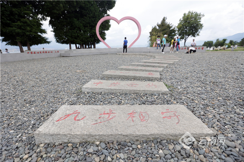 【有一种生活，叫大理】图片故事：在洱海生态廊道，你可以……