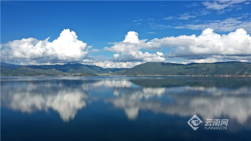 【有一种生活，叫大理】图片故事：在洱海生态廊道，你可以……