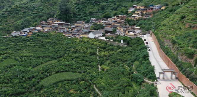 【有一种生活，叫大理】朱苦拉