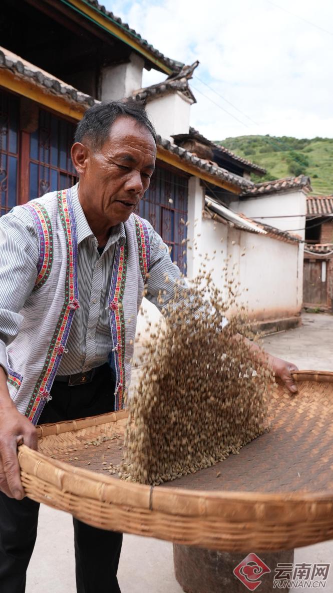 【有一种生活，叫大理】朱苦拉