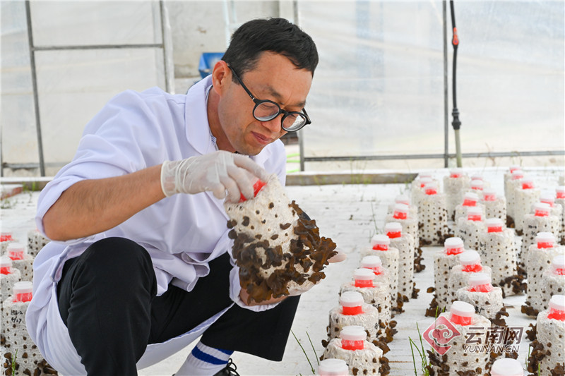 【有一种生活，叫大理】图片故事：我们的大理，我们的生活