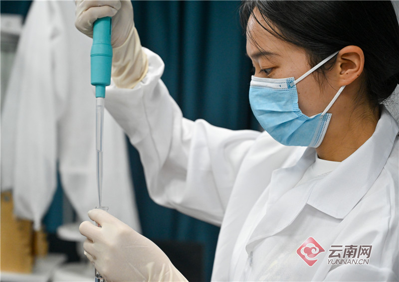 【有一种生活，叫大理】图片故事：我们的大理，我们的生活